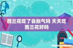 西兰花吃了会胀气吗 天天吃西兰花好吗