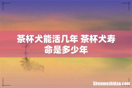 茶杯犬能活几年 茶杯犬寿命是多少年