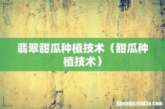 甜瓜种植技术 翡翠甜瓜种植技术