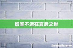 殷鉴不远在夏后之世