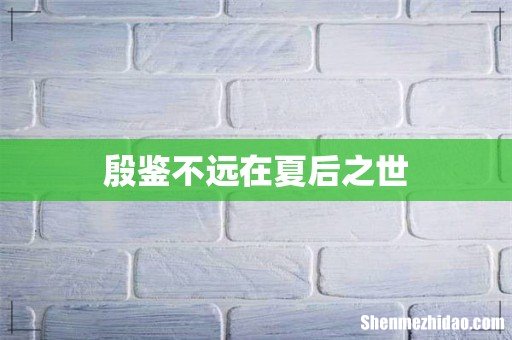 殷鉴不远在夏后之世