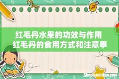 红毛丹水果的功效与作用 红毛丹的食用方式和注意事项