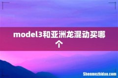 model3和亚洲龙混动买哪个