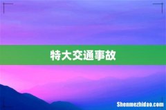特大交通事故