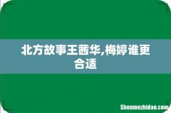 北方故事王茜华,梅婷谁更合适