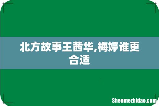 北方故事王茜华,梅婷谁更合适