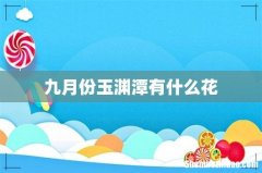 九月份玉渊潭有什么花