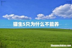 猫生5只为什么不能养
