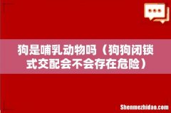 狗狗闭锁式交配会不会存在危险 狗是哺乳动物吗