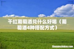 葡萄酒4种搭配方式 干红葡萄酒兑什么好喝
