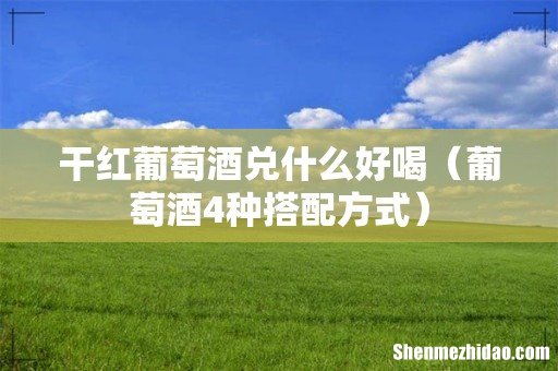 葡萄酒4种搭配方式 干红葡萄酒兑什么好喝