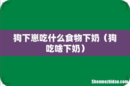 狗吃啥下奶 狗下崽吃什么食物下奶