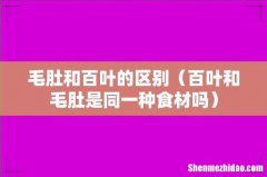 百叶和毛肚是同一种食材吗 毛肚和百叶的区别