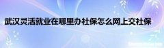 武汉辞职自己交社保怎么办理 武汉辞职后怎么办理灵活就业社保