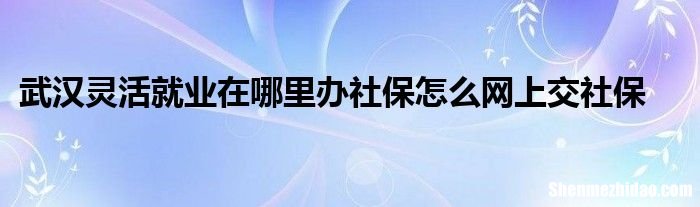 武汉辞职自己交社保怎么办理 武汉辞职后怎么办理灵活就业社保