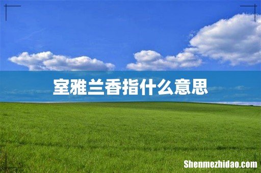 室雅兰香指什么意思
