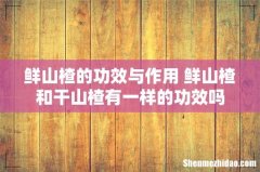 鲜山楂的功效与作用 鲜山楂和干山楂有一样的功效吗