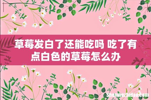 草莓发白了还能吃吗 吃了有点白色的草莓怎么办