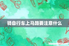 骑自行车上马路要注意什么