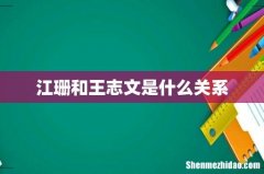 江珊和王志文是什么关系