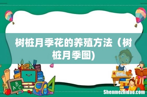 树桩月季花的养殖方法（树桩月季图)