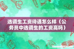 公务员中选调生的工资高吗 选调生工资待遇怎么样