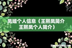 王熙凤简介 王熙凤个人简介 凤姐个人信息