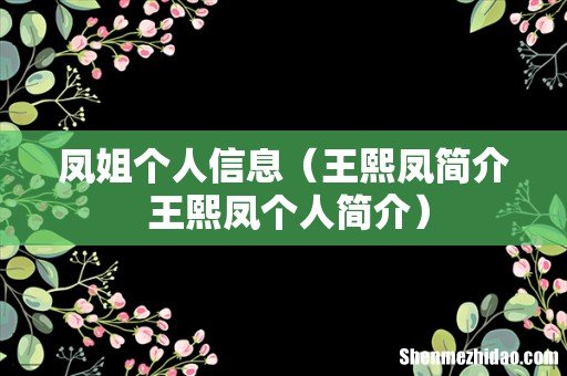 王熙凤简介 王熙凤个人简介 凤姐个人信息