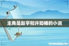 主角是赵宇和许如楠的小说