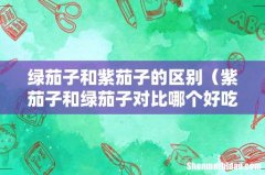 紫茄子和绿茄子对比哪个好吃有营养 绿茄子和紫茄子的区别