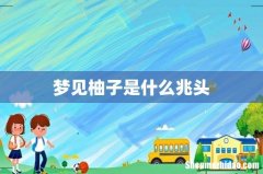 梦见柚子是什么兆头