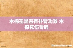 木棉花是否有补肾功效 木棉花伤肾吗