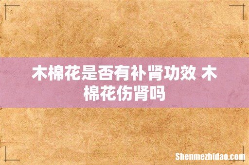 木棉花是否有补肾功效 木棉花伤肾吗