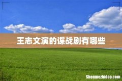 王志文演的谍战剧有哪些