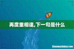 再度重相逢,下一句是什么