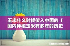 国内种植玉米有多年的历史 玉米什么时候传入中国的