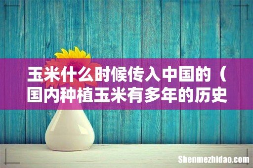 国内种植玉米有多年的历史 玉米什么时候传入中国的