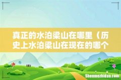历史上水泊梁山在现在的哪个省 真正的水泊梁山在哪里