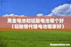铅酸替代锂电池哪家好 黑金电池和铅酸电池哪个好