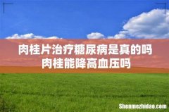 肉桂片治疗糖尿病是真的吗 肉桂能降高血压吗
