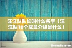 汪汪队10个成员介绍是什么 汪汪队队长叫什么名字