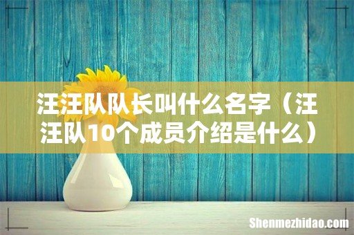汪汪队10个成员介绍是什么 汪汪队队长叫什么名字