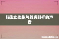 猫发出类似气管炎那样的声音