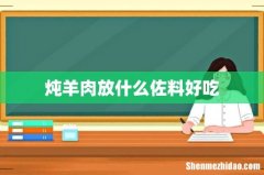 炖羊肉放什么佐料好吃