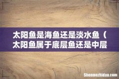 太阳鱼属于底层鱼还是中层鱼 太阳鱼是海鱼还是淡水鱼