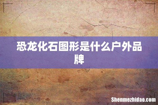 恐龙化石图形是什么户外品牌
