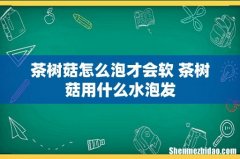 茶树菇怎么泡才会软 茶树菇用什么水泡发