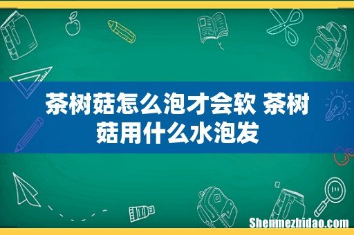 茶树菇怎么泡才会软 茶树菇用什么水泡发