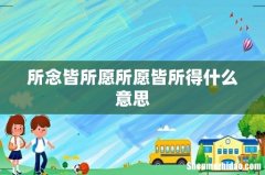 所念皆所愿所愿皆所得什么意思