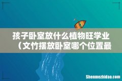 文竹摆放卧室哪个位置最旺学业 孩子卧室放什么植物旺学业